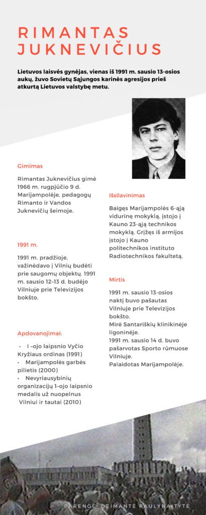 Rimantas Juknevičius (pdf.io)