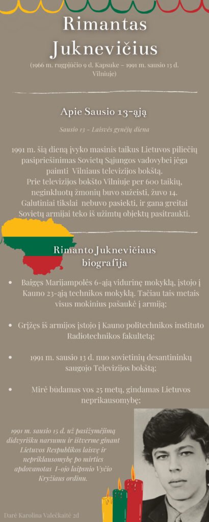 Rimantas Juknevičius(1) (pdf.io)